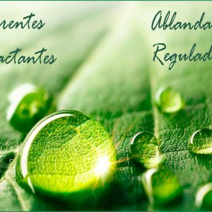 Coadyuvantes y Reguladores de Ph