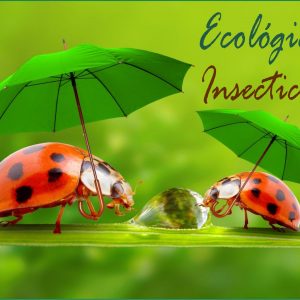 Insecticidas Ecológicos