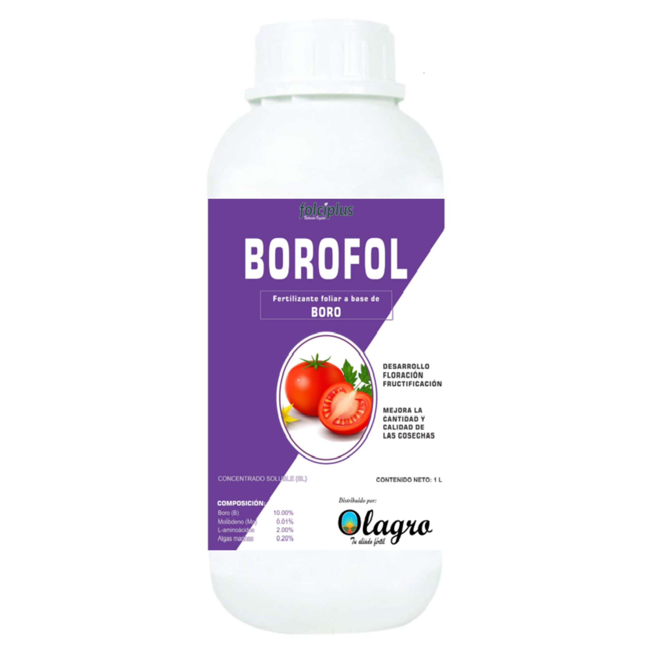 BORO